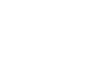 gx-logo@2x_0